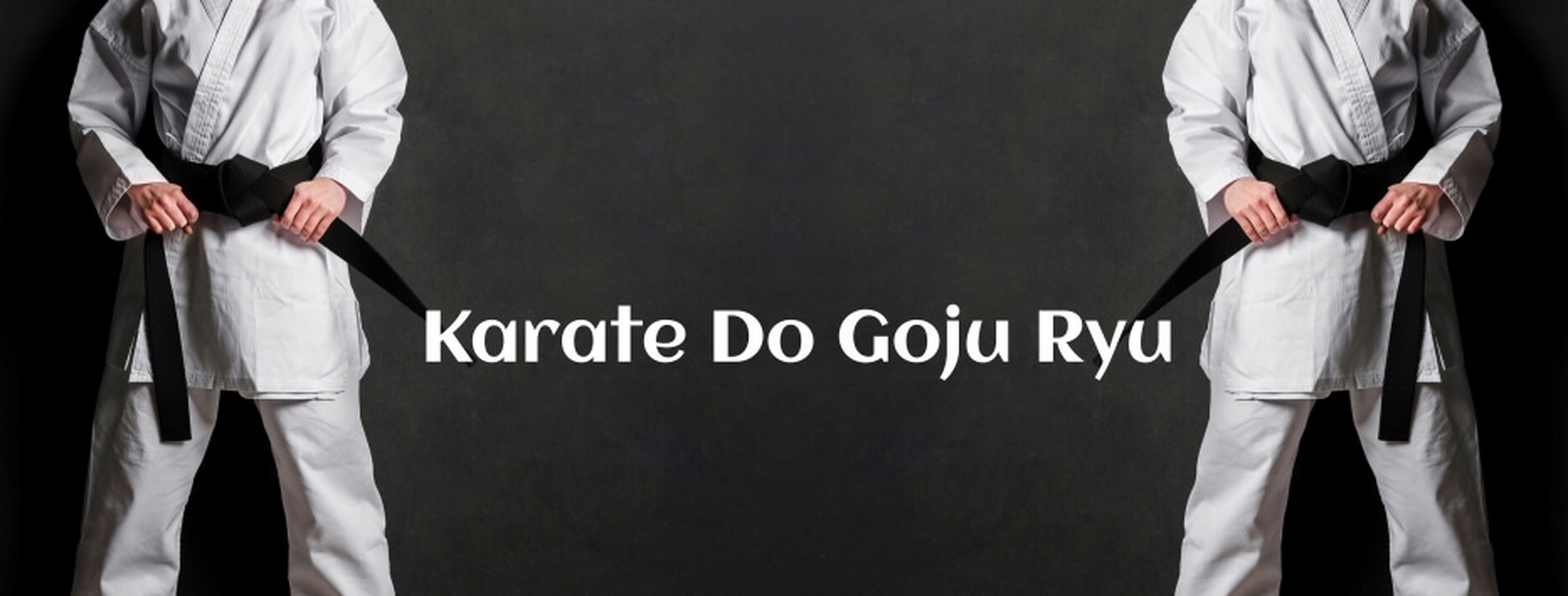 banner Karate Do Goju Ryu 01.jpg