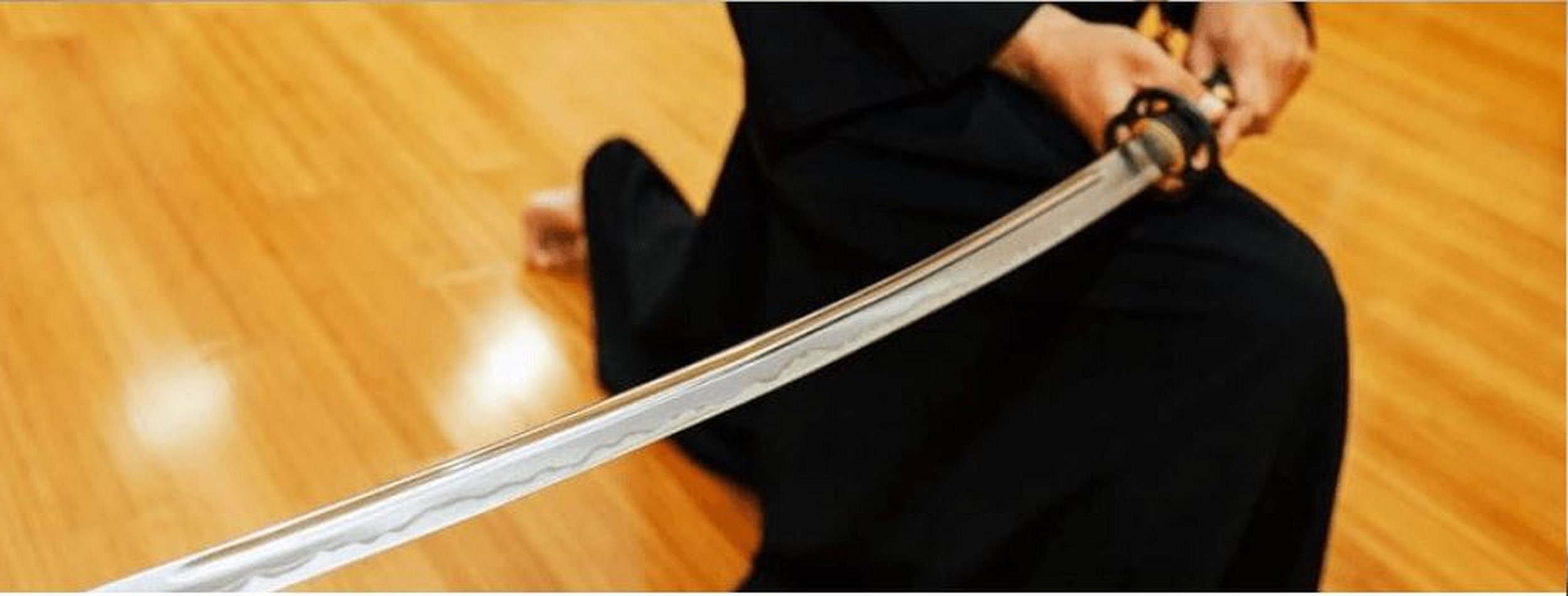 iaido-04jpg.jpg